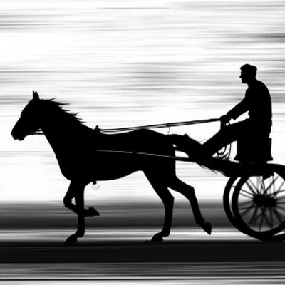 Hình ảnh minh họa whig - Ảnh 1