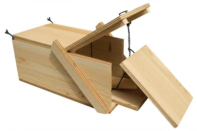 Illustration trap - Image 1