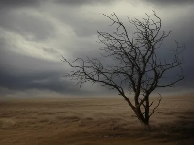 Illustration grim - Image 1