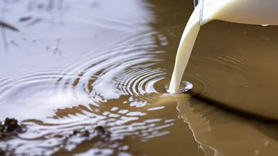 Illustration adulterates - Image 1