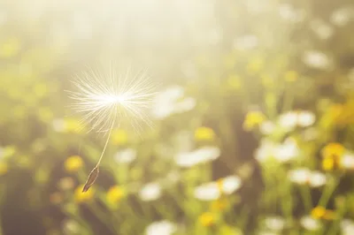 Illustration lightest - Image 1