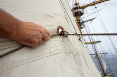 Illustration point - Image 1