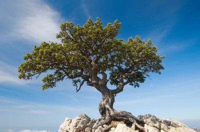 Illustration assurances - Image 1