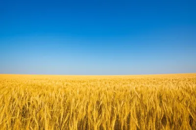 Illustration campaigns - Image 1