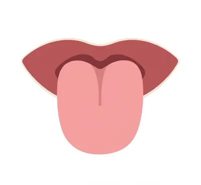 Illustration dental - Image 1