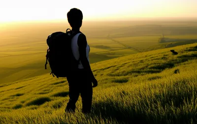 Illustration roam - Image 1