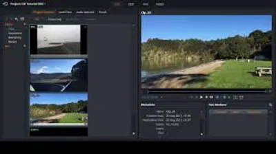 Illustration insert - Image 2