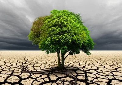 Illustration declination - Image 1