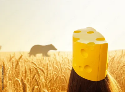 Illustration badger - Image 1