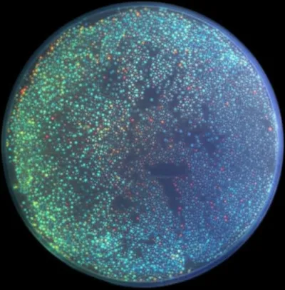 Illustration noise - Image 1