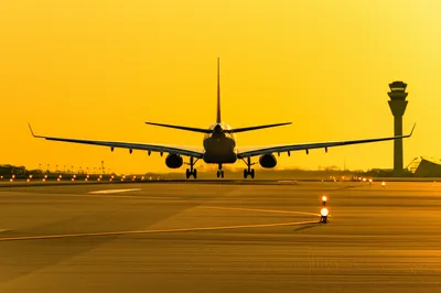 Illustration clearing - Image 1