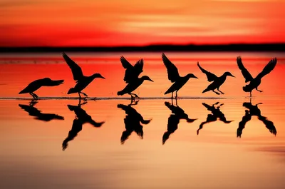 Illustration lands - Image 1