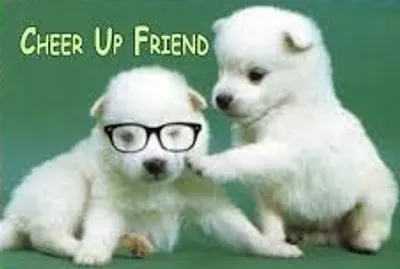 Illustration dispose - Image 2