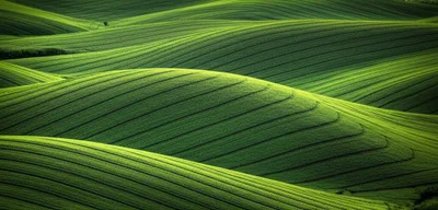 Illustration swell - Image 1