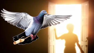 Illustration messaged - Image 1