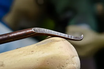 Illustration scalper - Image 1