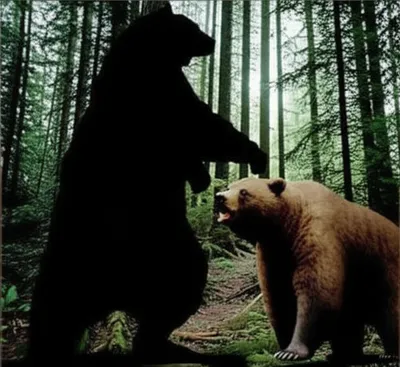 Illustration beasts - Image 1