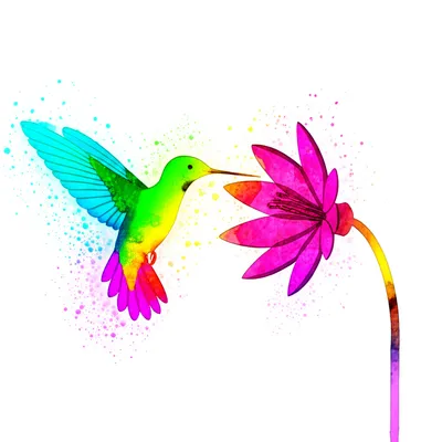 Illustration watercolor