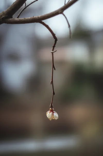 Illustration casting - Image 1