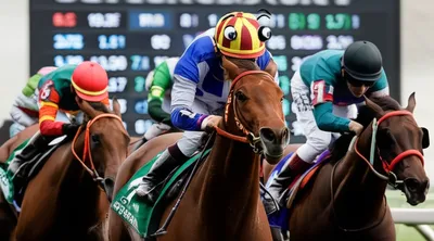 Illustration overlay - Image 1