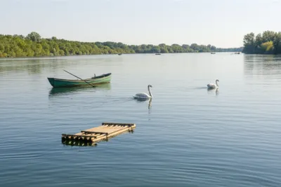 Illustration vehicle - Image 1