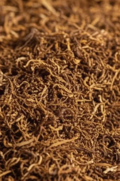 Illustration shags - Image 1