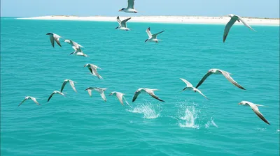 Hình ảnh minh họa sp - Ảnh 1