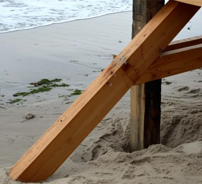 Illustration pale - Image 1