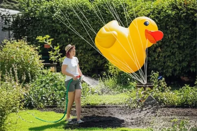 Illustration surprises - Image 1