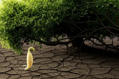 Illustration radicalisation