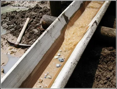 Illustration trunk - Image 1