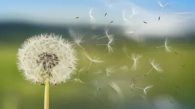 Illustration fleeting