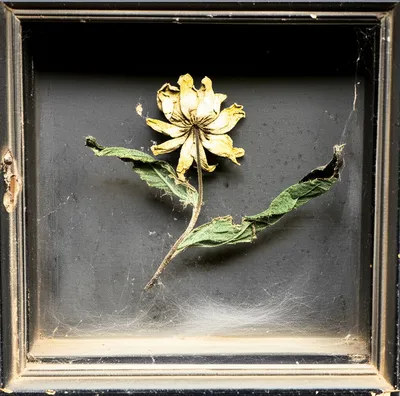 Illustration sellers - Image 1