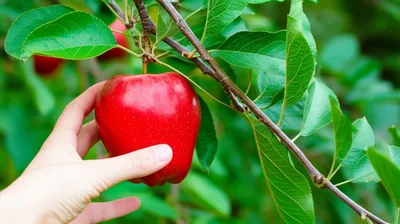 Illustration took - Image 1