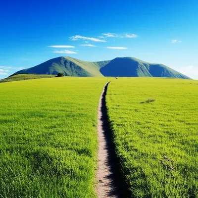 Illustration rm - Image 1