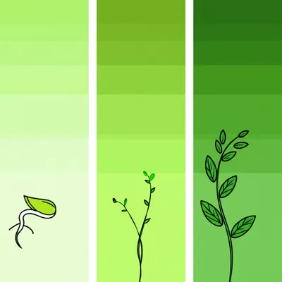 Illustration triple - Image 1