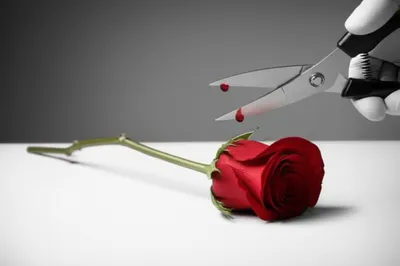 Illustration removing - Image 1