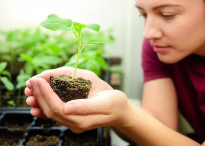 Illustration affect - Image 1