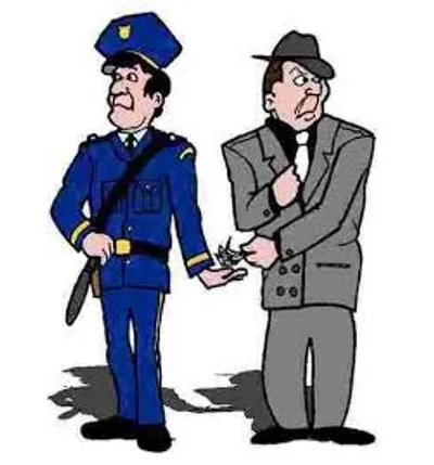 Illustration connive - Image 2