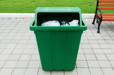 Hình ảnh minh họa garbage - Ảnh 1