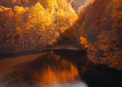 Illustration environments - Image 2