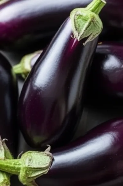 Illustration eggplant - Image 1