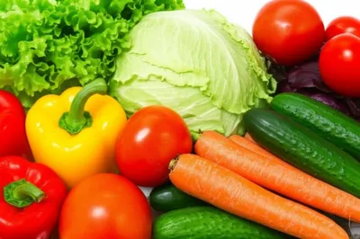 Illustration salads - Image 1