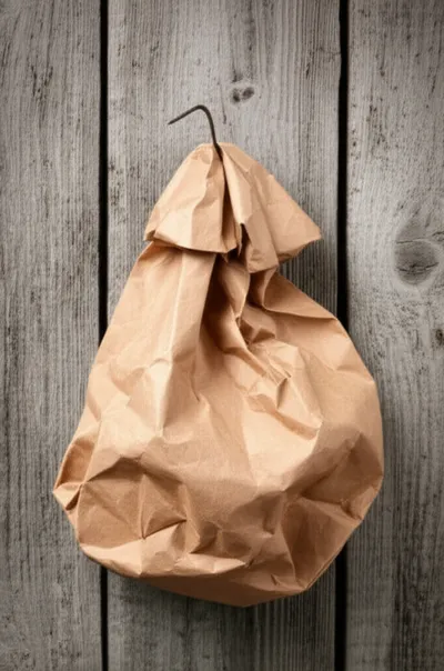 Illustration bagged - Image 1