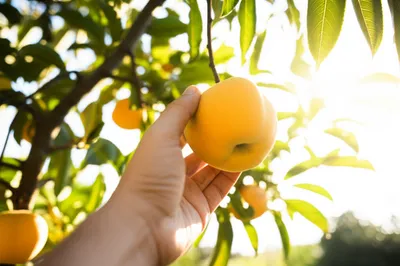 Illustration grasps - Image 1