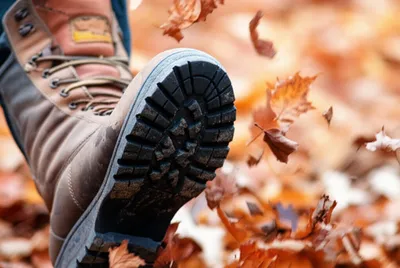 Illustration heeled - Image 1