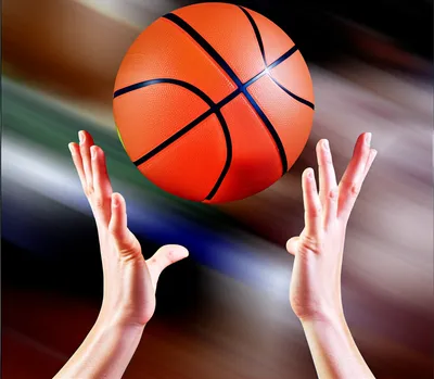 Illustration catches - Image 1