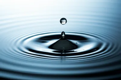 Illustration period - Image 1