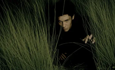 Hình ảnh minh họa slinks