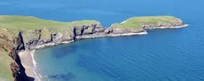 Illustration bill - Image 2